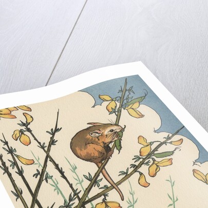 Illustration of mouse and bird feeding on branches by Anonymous