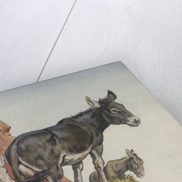Illustration of donkeys in canyon by Anonymous