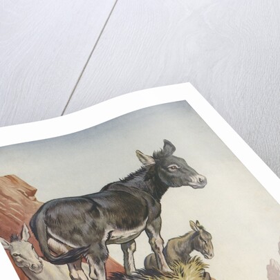 Illustration of donkeys in canyon by Anonymous