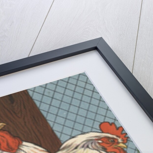 Illustration of four white chickens by Anonymous