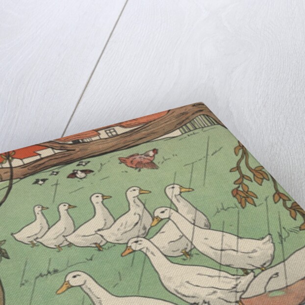 Illustration of white geese in rain by Anonymous
