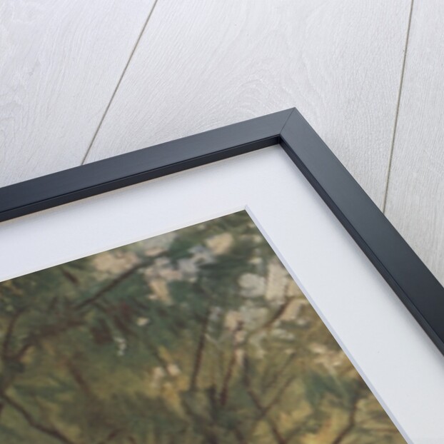 Illustration of three boys in canoe by Anonymous