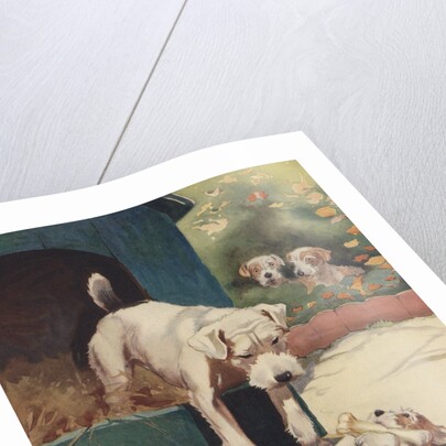 Illustration of dog looking at another dog holding bone by Anonymous