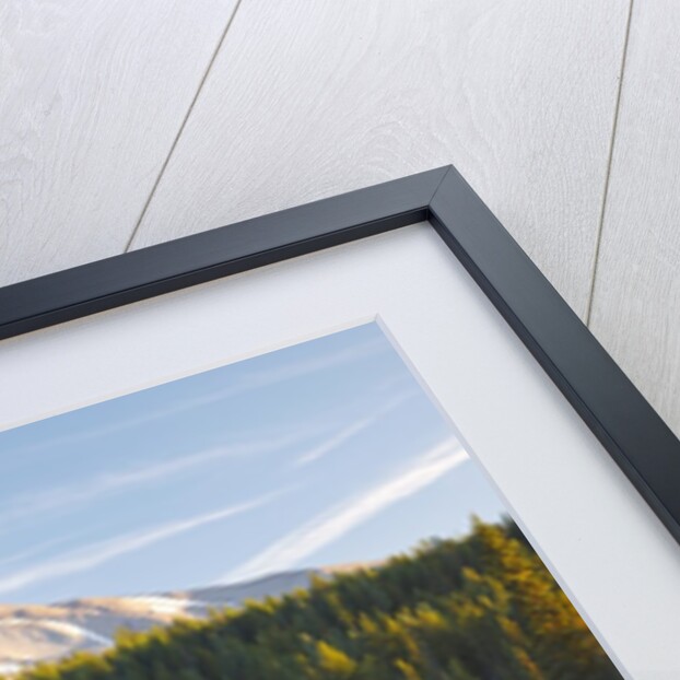 morning frost in meadow, Mt. Hood, Oregon. by Anonymous