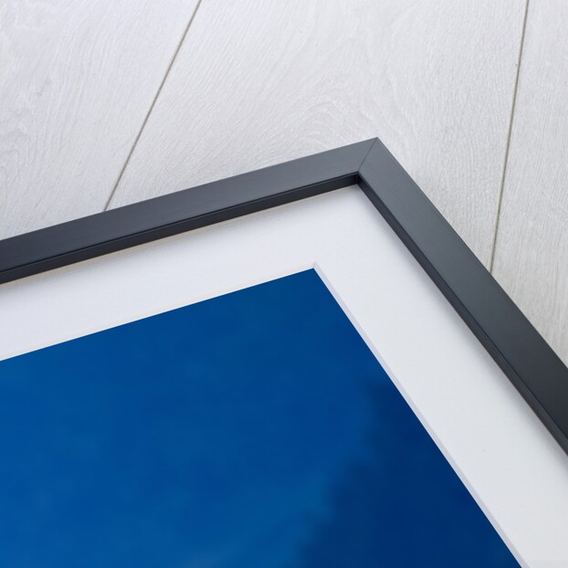 Humpback Whale, Alaska by Anonymous