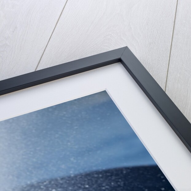 Spouting Humpback Whale, Alaska by Anonymous