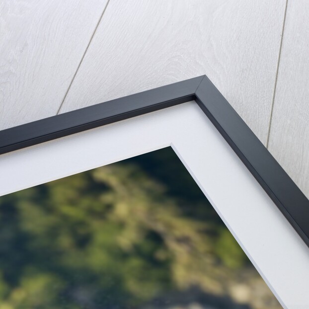 Feeding Humpback Whale, Alaska by Anonymous