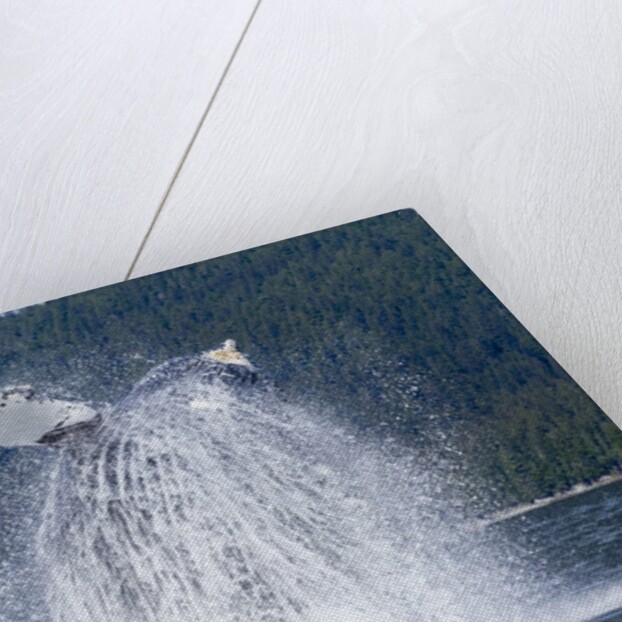 Breaching Humpback Whale, Alaska by Anonymous