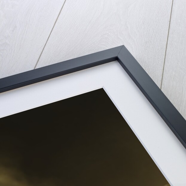 Diving Humpback Whale, Alaska by Anonymous