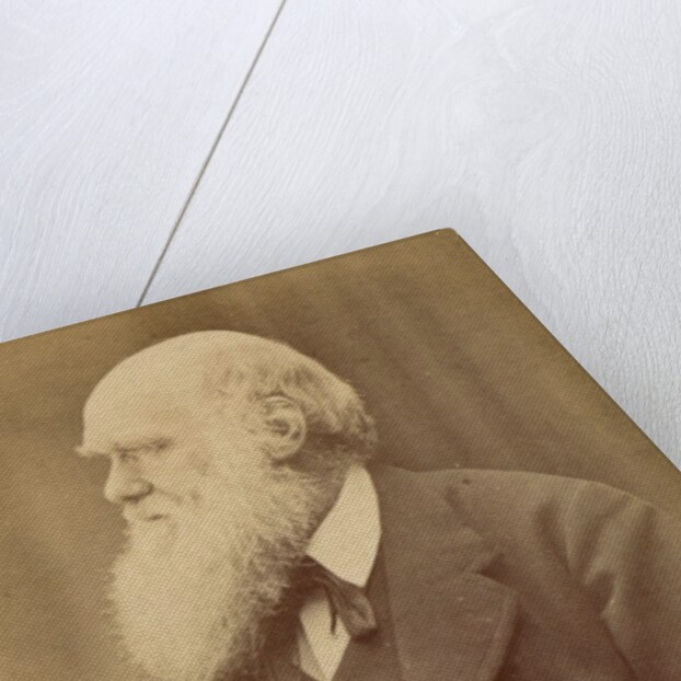 Charles Darwin by Anonymous