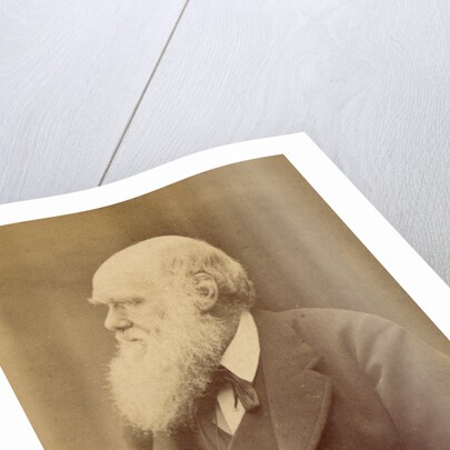 Charles Darwin by Anonymous