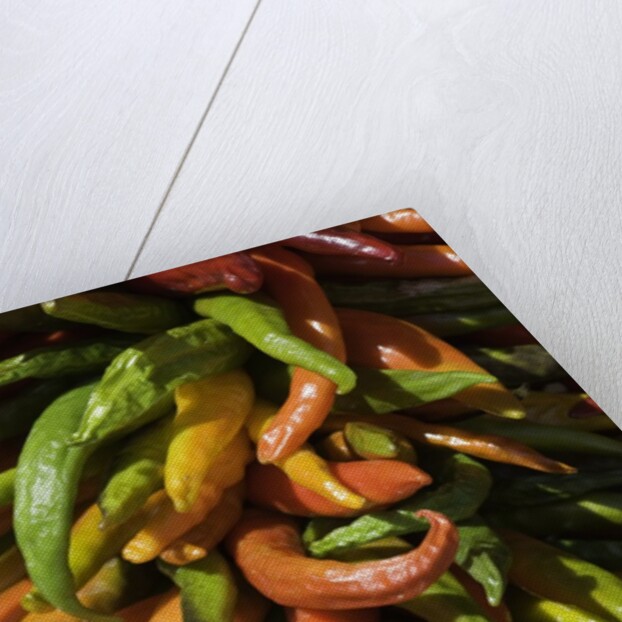 Chile peppers by Anonymous