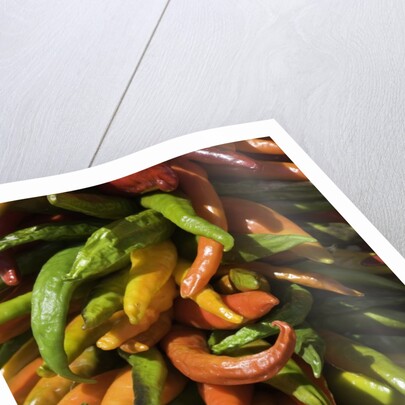 Chile peppers by Anonymous