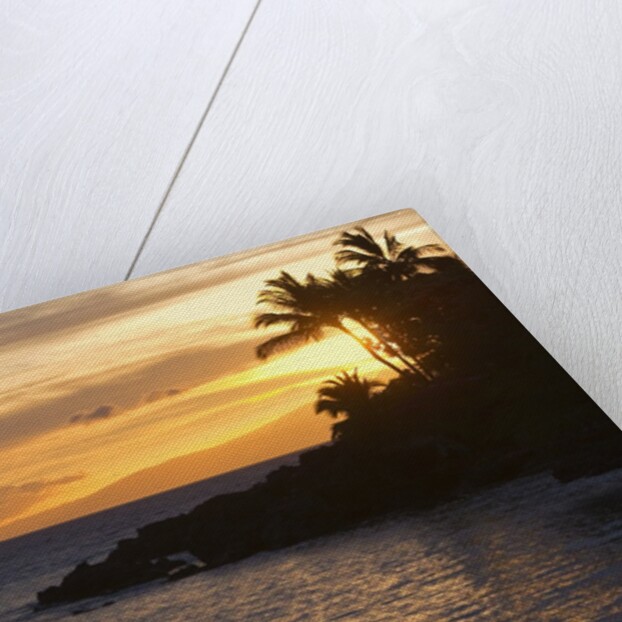 Stand-up paddler at sunset on Maui, Hawaii by Anonymous