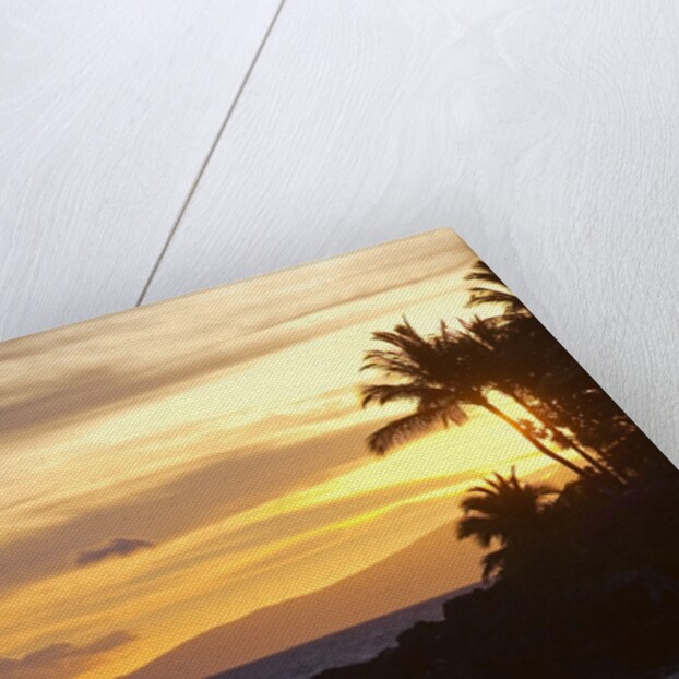 Stand-up paddler at sunset on Maui, Hawaii by Anonymous
