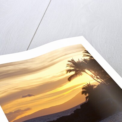 Stand-up paddler at sunset on Maui, Hawaii by Anonymous