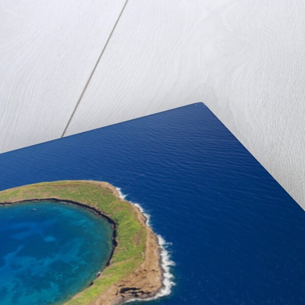 Molokini by Anonymous