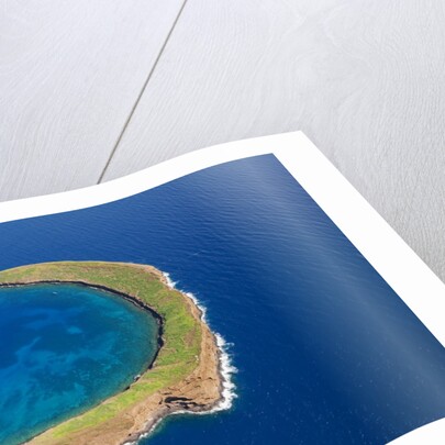 Molokini by Anonymous