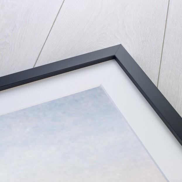 Postcard of a May-Day parade on the banks of the Moskva River in Moscow, USSR by Anonymous