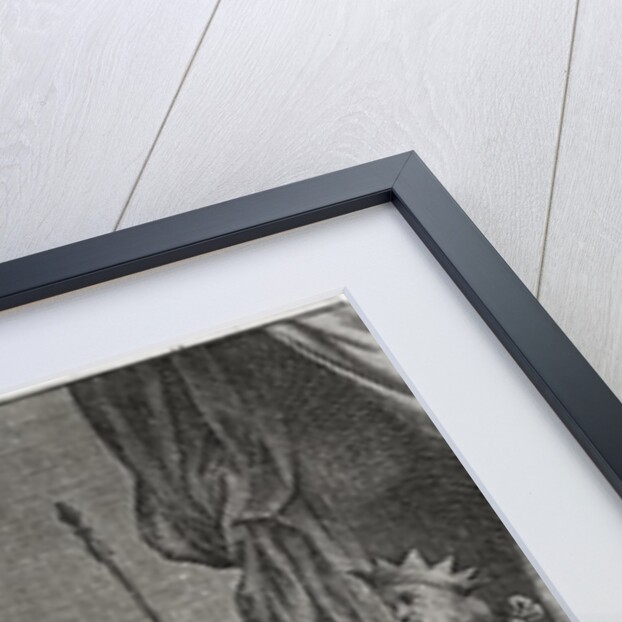 Lucius Cassius Dio Cocceianus by Anonymous