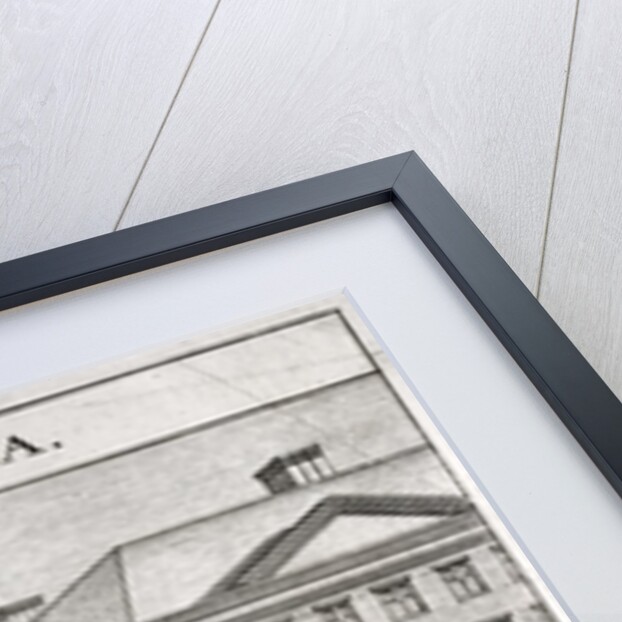 Sulla. (Lucius Cornelius Sulla Felix 138 - 78 BCE) by Anonymous