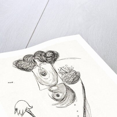 Oscar Wilde, the Irish dramatist, writer and poet. A caricature by Max Beerbohm showing his extravagent haircut, style of dress and his trademark cane. by Anonymous