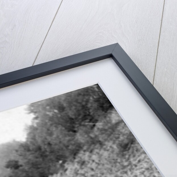 A steam chain tug by Anonymous