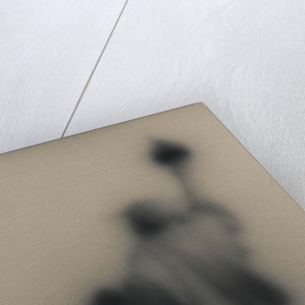 Diffused image of the Statue of Liberty by Anonymous