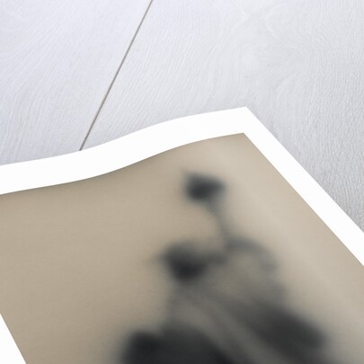 Diffused image of the Statue of Liberty by Anonymous