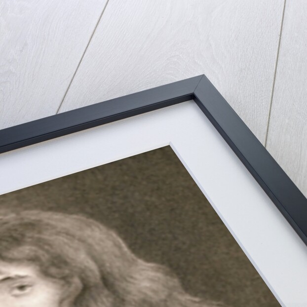 Isaac Newton by Anonymous