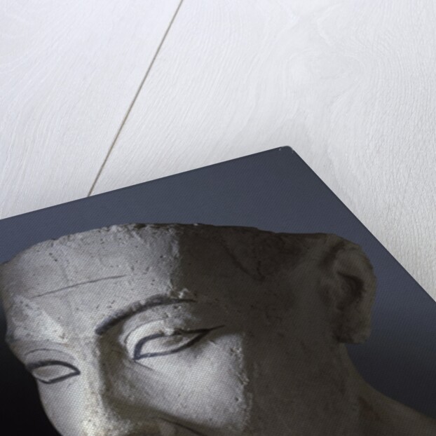 Ancient Egyptian head of Queen Nefertiti by Anonymous