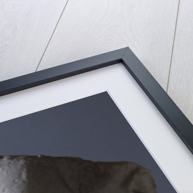 Ancient Egyptian head of Queen Nefertiti by Anonymous