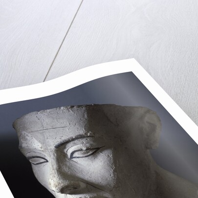 Ancient Egyptian head of Queen Nefertiti by Anonymous