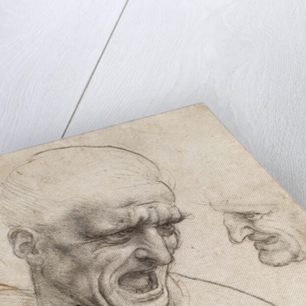 Study for the Heads of Two Soldiers in the Battle of Anghiari by Leonardo da Vinci