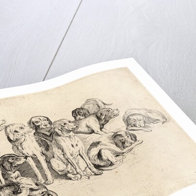 Study of Eleven Hounds by Wenceslas Hollar