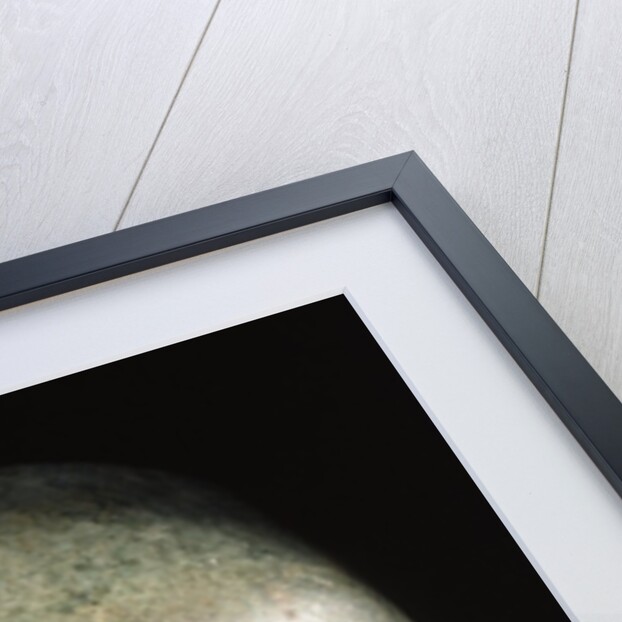 Mayan jade portrait head by Anonymous