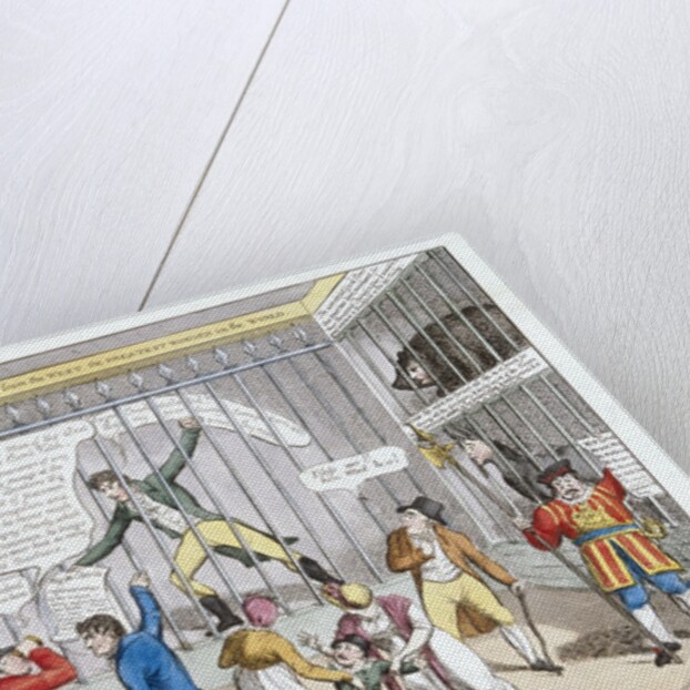 A New Cure for Jackobinism or a Peep in the Tower by Anonymous