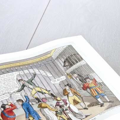 A New Cure for Jackobinism or a Peep in the Tower by Anonymous