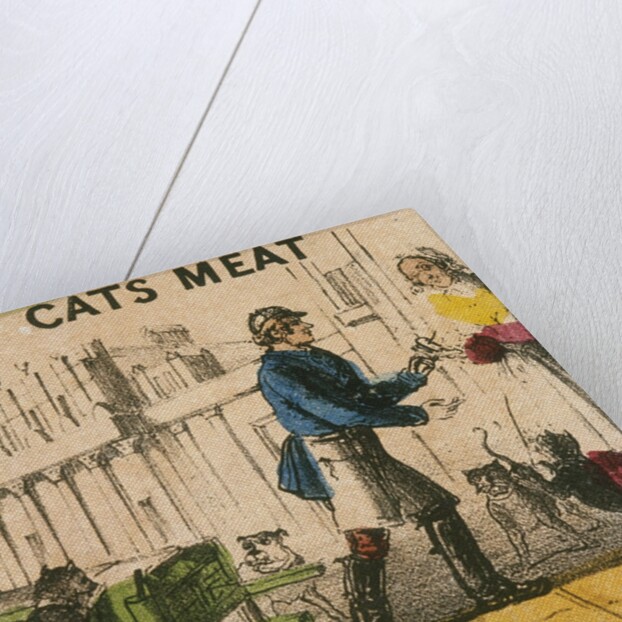 Cats Meat by T.H. Jones
