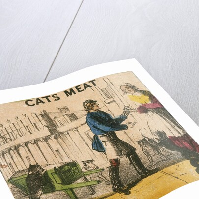 Cats Meat by T.H. Jones