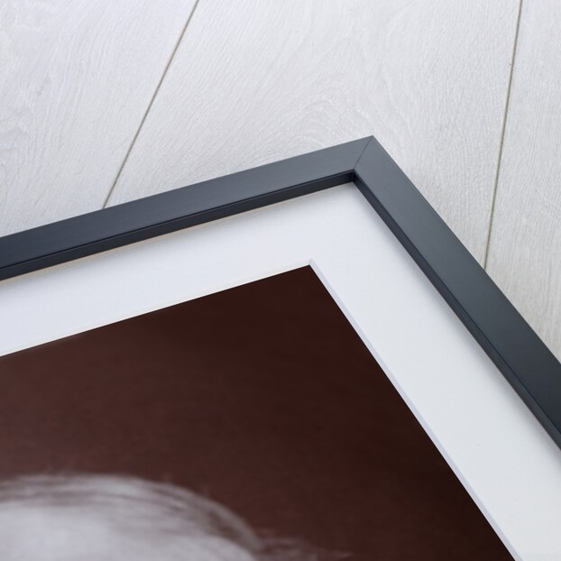 John Fowler (1817-1898) English Civil Engineer by Anonymous