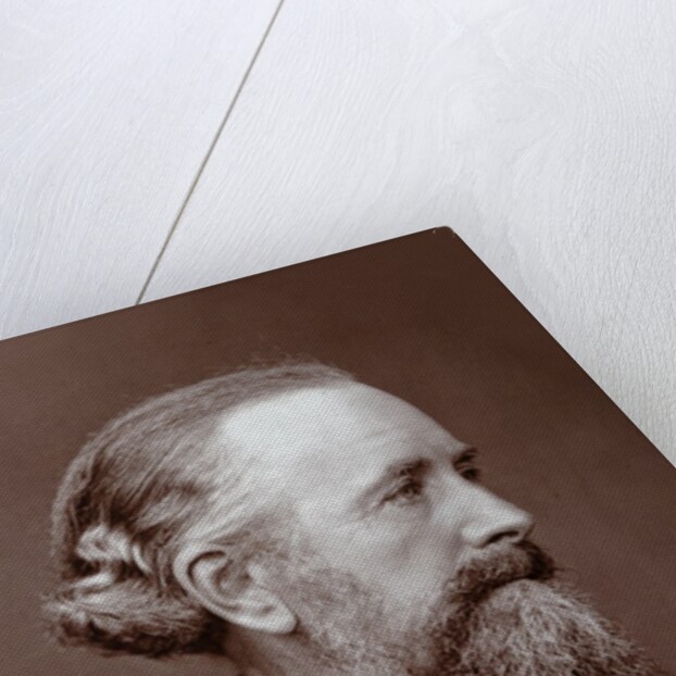 Edward Frankland (1825-1899) British Chemist by Anonymous