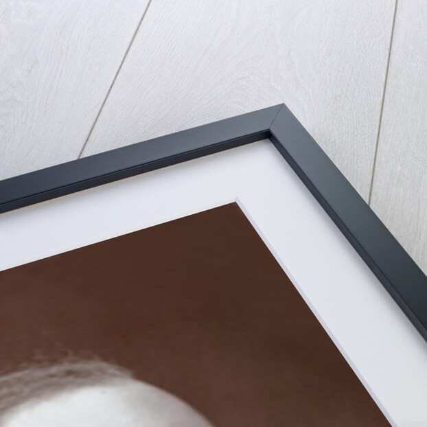 Edward Frankland (1825-1899) British Chemist by Anonymous