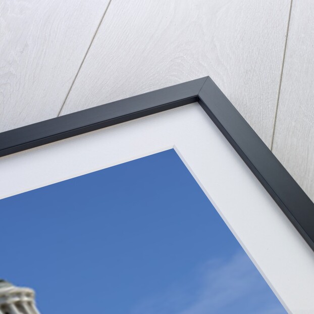 U. S. Capitol Building in Washington, DC by Anonymous