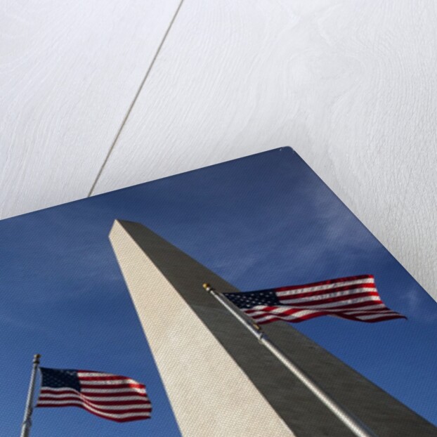 American flags encircling Washington Monument by Anonymous
