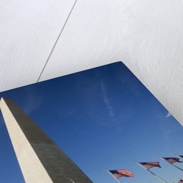 American flags encircling Washington Monument by Anonymous