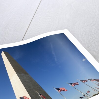 American flags encircling Washington Monument by Anonymous
