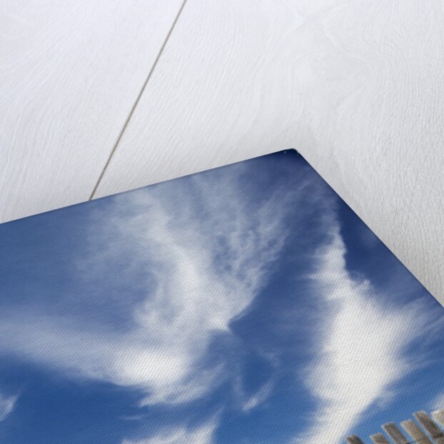 Cirrus clouds in summer sky by Anonymous