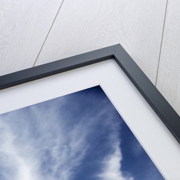 Cirrus clouds in summer sky by Anonymous