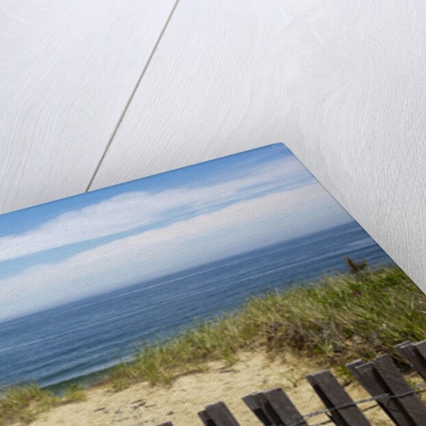 Fence and sand dunes on coast by Anonymous